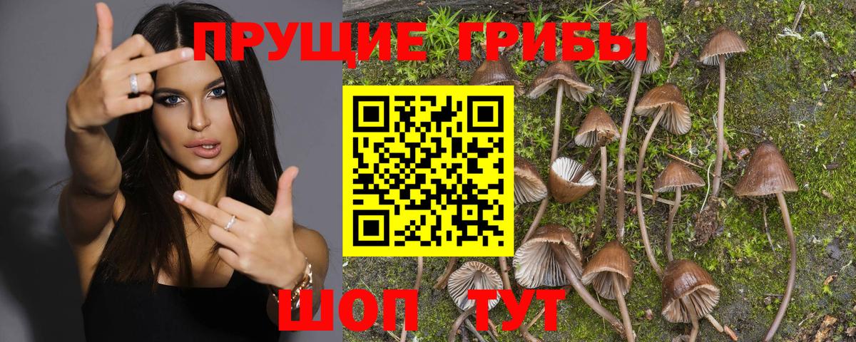 Ярцево  Псилоцибиновые грибы Magic Shrooms  Вход с VPN  Псилоцибиновые грибы Magic Shrooms 