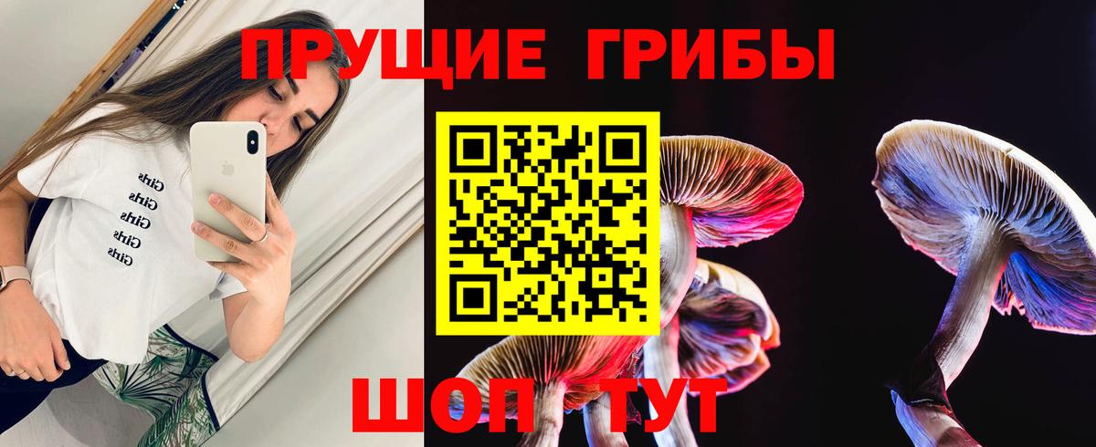 Псилоцибиновые грибы Cubensis Ярцево